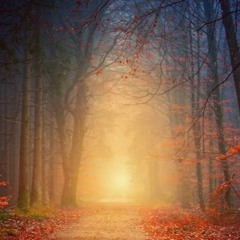 Beethoven Piano Sonata No. 22 F-dur the 1st movement Op. 54  ベートーヴェン ソナタ第２２番 第１楽章