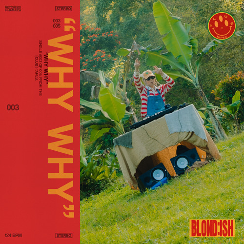 18.	BLOND:ISH – Why Why Why 