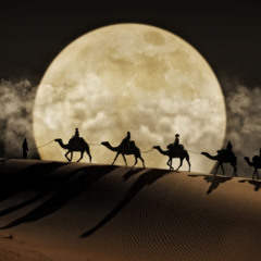 Moon Over the Dunes