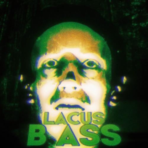 B. ASS
