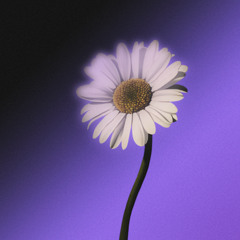 Eternidad (trance extended mix)