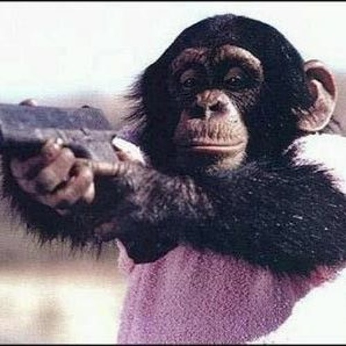 Monkey Style