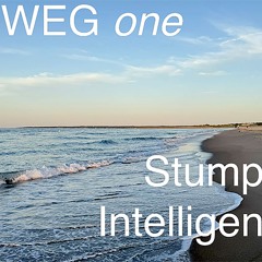 WEG one  [Stumpy Intelligenz]