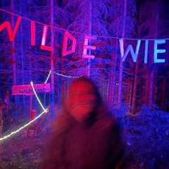 IB96 | 142 BPM | WildeWiese Summerclosing 2024 |
