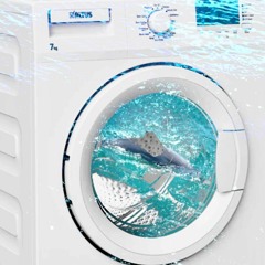 Washing Cycle