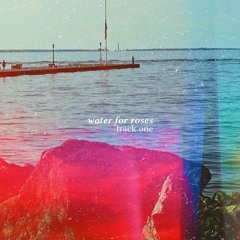 water for roses