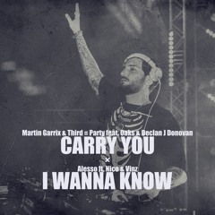 Martin Garrix & Third ≡ Party vs. Alesso feat. Nico & Vinz - Carry You / I Wanna Know