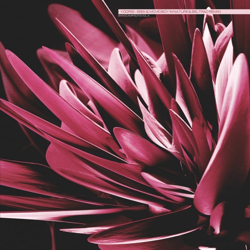 Yoofee - Seek & Move (Boy In Nature & Mutual Distrust Remix)