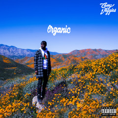 Shake Somethin (feat. Kalan.FrFr)