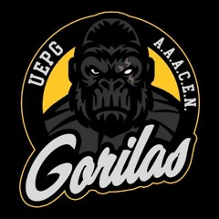 Recepção Gorilas -  DJ LB