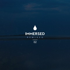Parallel Voices, L.GU., Paul Thomas, Subside - Immersed Remixed 02