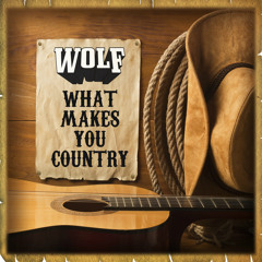 Wolf and Band - What Makes You Country (Live)