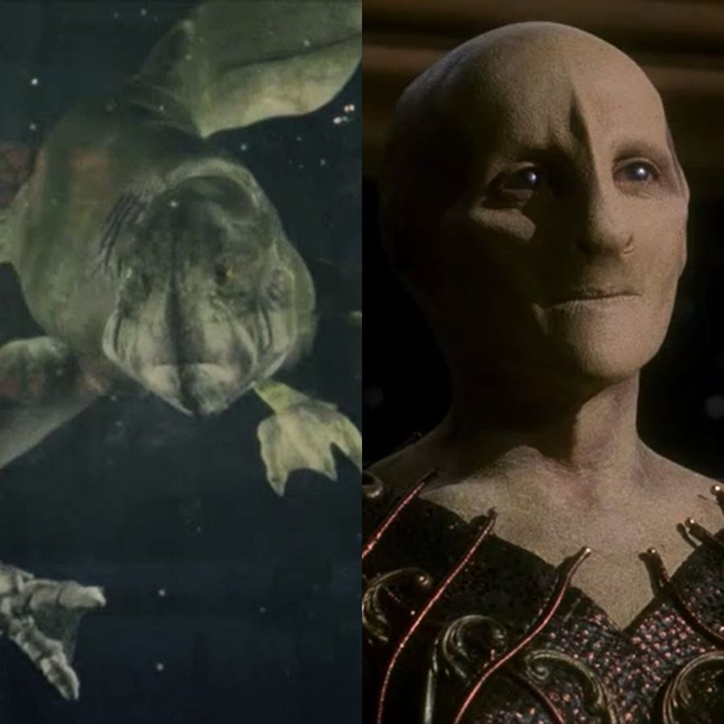 A Star to Steer Her By