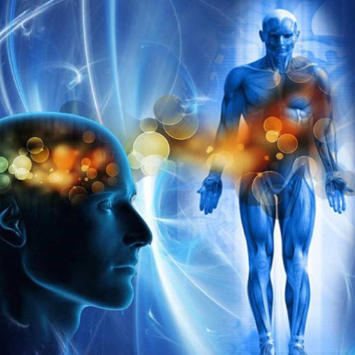 mpongo pelotudo ft thrash (prod.thrash)