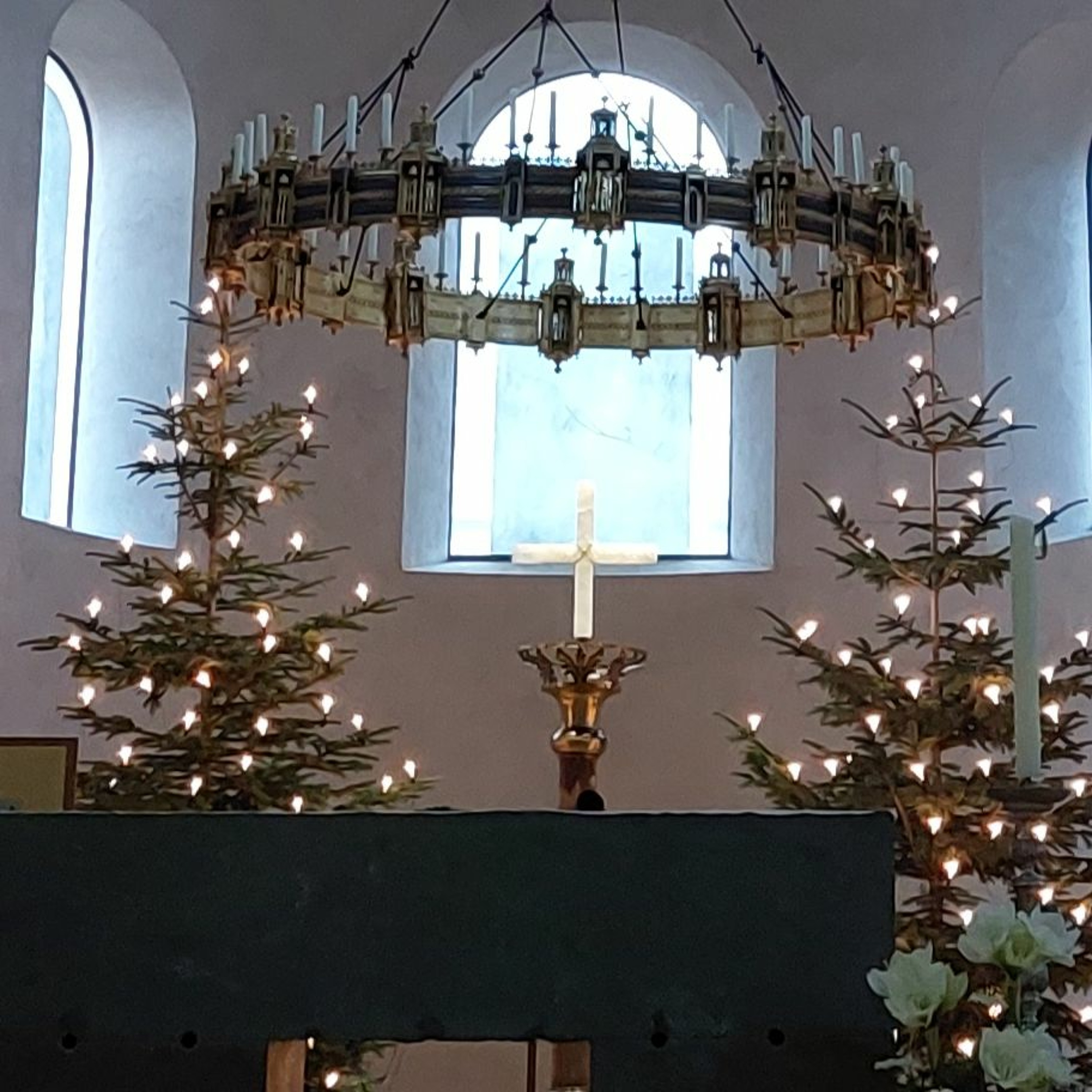 Predigten im Hildesheimer Dom