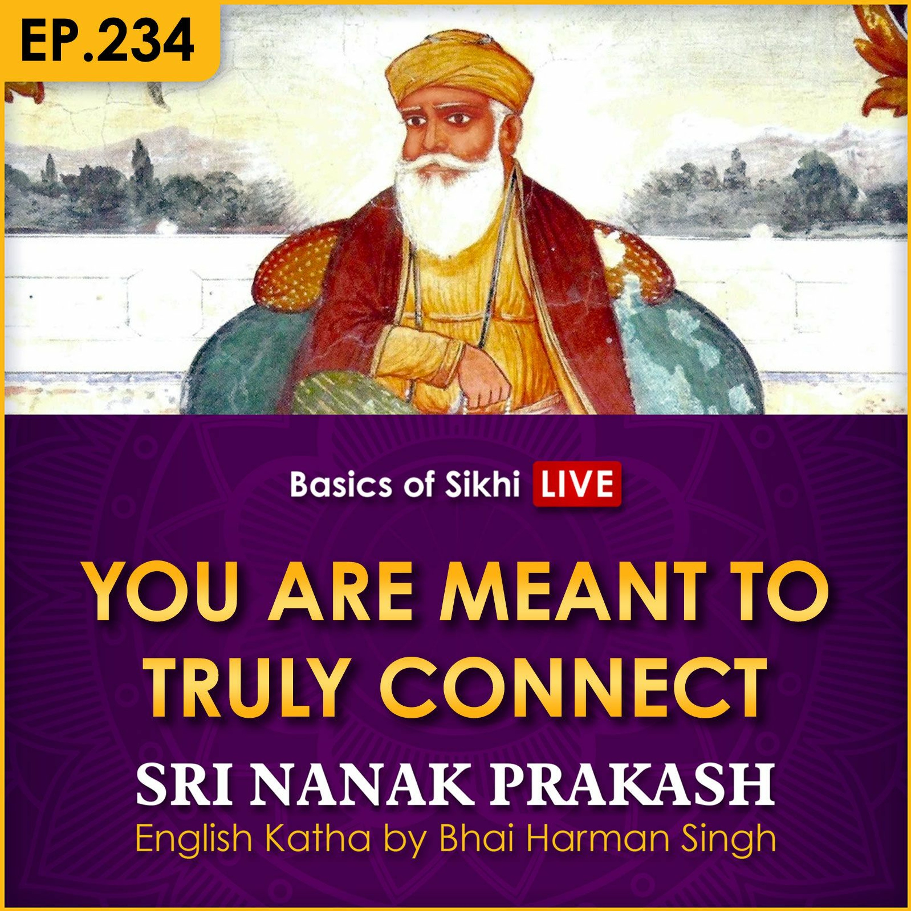 #234 You are Meant to Truly Connect | Sri Nanak Prakash Katha | Bhai Harman Singh episode artwork