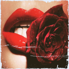 Underground House 2025