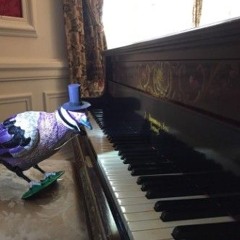 Bouncy Keys