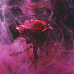 Lush (Prod. By Say10soundz)