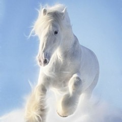 HORSEMEDICINEMIX