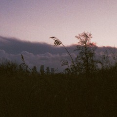 Papua Uusimaa
