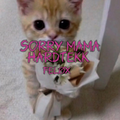 Sorry Mama Hardtekk