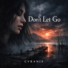 Don't Let Go (Original Mix)