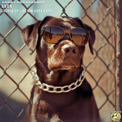 Akon - Locked Up (Jazmin Dexx Edit) Free Download