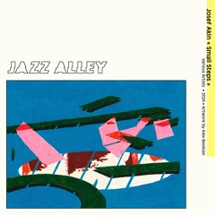Josef Akin - Small Steps