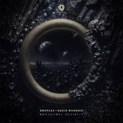 Droplex, David Phoenix - Nocturnal Activity (Original Mix) [PREVIEW]