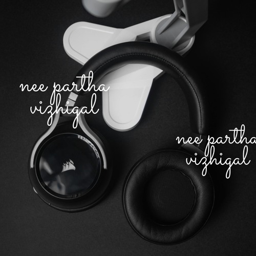 Nee partha vizhigal (Instrumental Version)