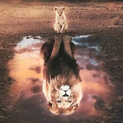 How To Own Your Own Mind (Audiobook) By Napoleon Hill