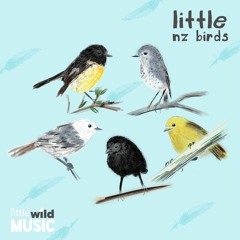 Little NZ Birds