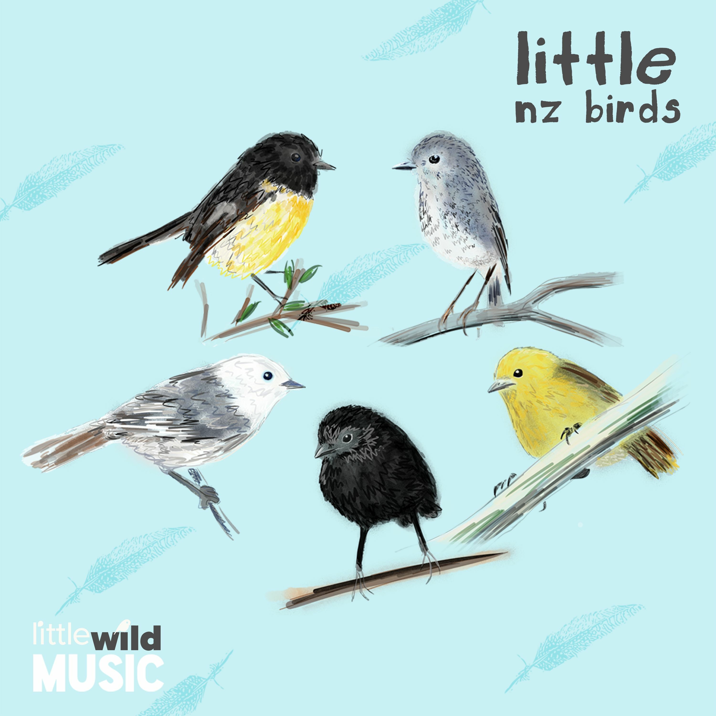 Little Wild Music