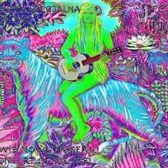 niech zyje bal shallow harpsichord cover