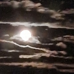 ASCENSION MIRACULEUSE