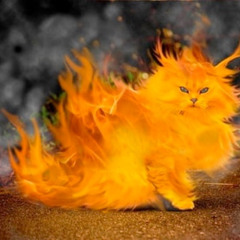 reel prank - distrack by cia and randi - 6_9_25, 8.40 AM