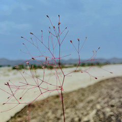 Sahaar    Singer Minhaj Mukhtar   Poet Wahag Neyad   Actor & Director Zahoor Fazal.mp3