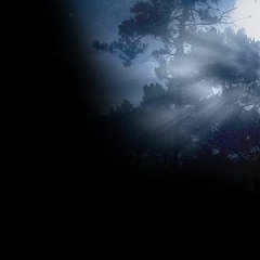 Paranoize Qualified Dark 146