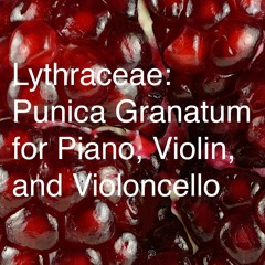 Lythraceae: Punica Granatum