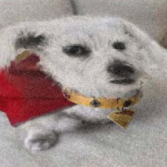 len vs pwrs (prod jager)