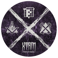 Power To Distort (I:Gor Remix)