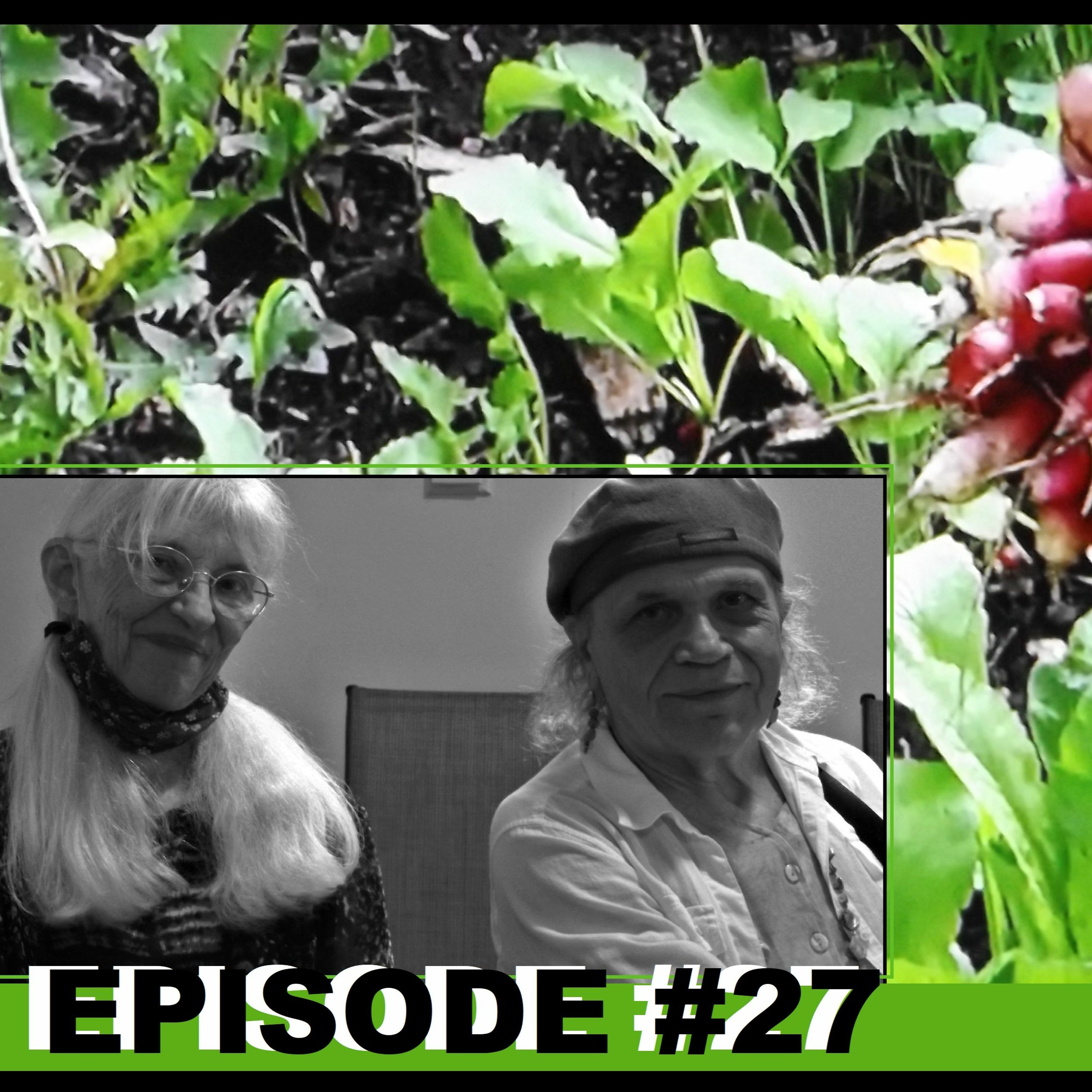 Minneapolis Co-op Wars Part 2: Socialist News and Views Episode # 27 (10/21/2021) episode artwork
