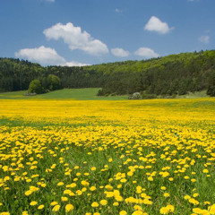 B*tch Don’t Kill My Vibe (Jersey Club)