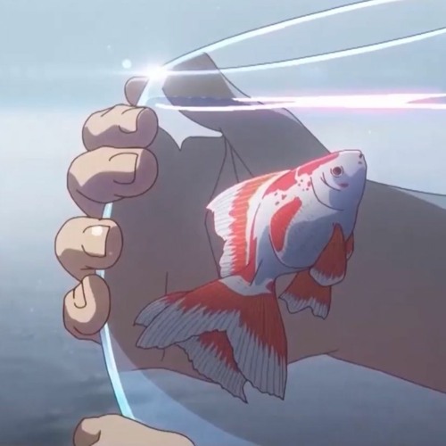 大王饶命 ED《星之火~awake~》- Đại vương tha mạng ED《Star Fire ~ tỉnh~》