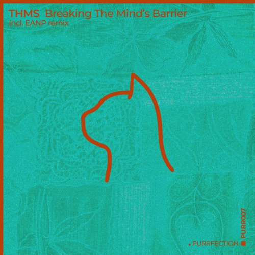 PREMIERE: THMS - Breaking The Minds Barrier (EANP Remix) [PURRFECTION]