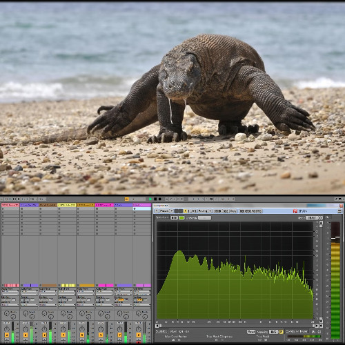 (Psytrance-Hardwares-Softwares-Dark-Hitech) Track No: 5706.
