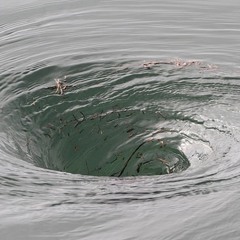 Rave Water - quest?onmarq