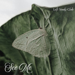 See Me