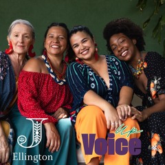 Voice Up (Be What You Stand For)